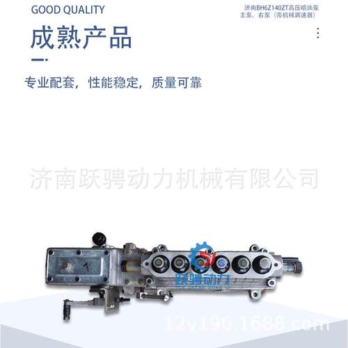 适济柴驰动PZ12V190B G12V190PZL柴油机bh6z14zt高压喷油泵主泵