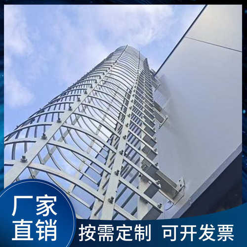 安全护栏垂直热镀锌护消防爬梯爬梯外墙检修笼直基坑钢