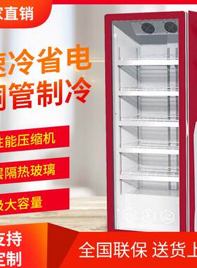 啤酒饮料柜商用保鲜展示柜蔬菜水果立式冰柜超市酒吧单双门冰柜