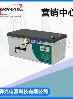HOMAGE蓄电池12V220AH12V200AH12V180AH12V100AH胶体电池