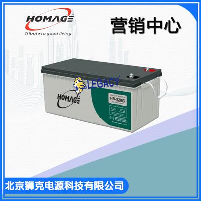 HOMAGE蓄电池12V220AH12V200AH12V180AH12V100AH胶体电池