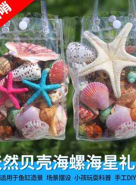 天然大贝壳大海星珊瑚石工艺品装饰品道具鱼缸造景贝壳摆th10