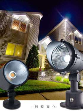 照树灯射树灯户外防水投射灯12V24V草坪园林插地灯低压别墅投光灯