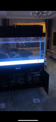 汉霸鱼缸怎么样？听说容易爆缸是吗？