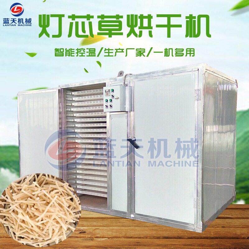 灯芯草烘干机 小型家用灯草虎须草烘干箱 材烘干机设备全自动