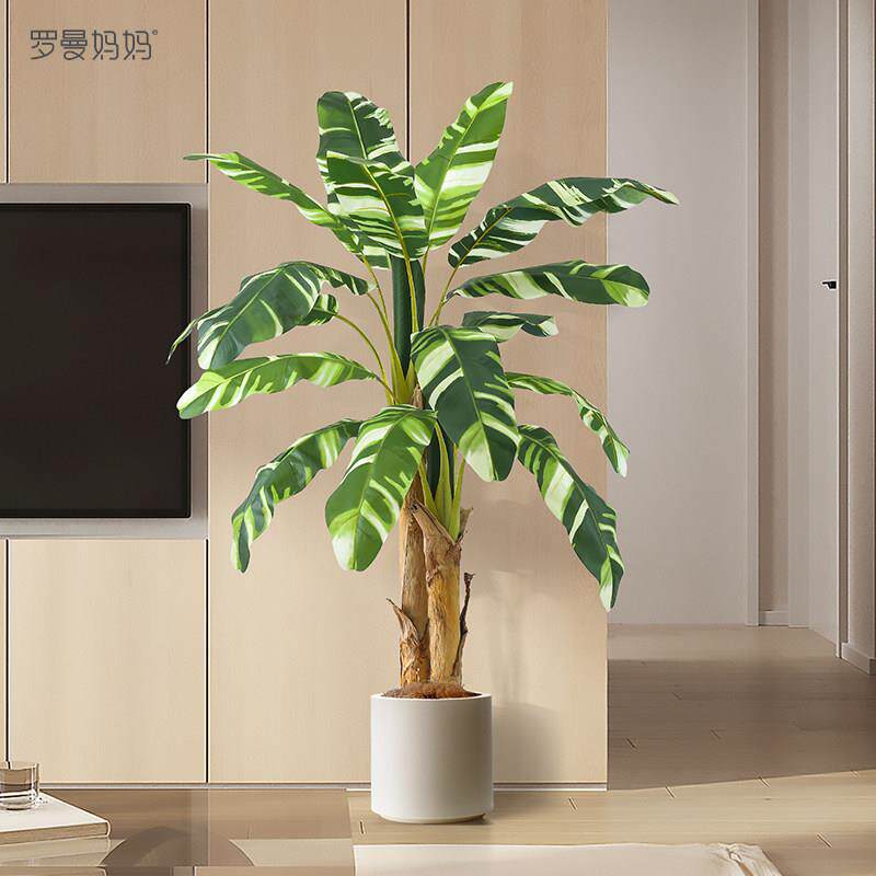 彷真绿色植物芭蕉树高级感热带雨林风盆栽彷生植物大型室内落地摆