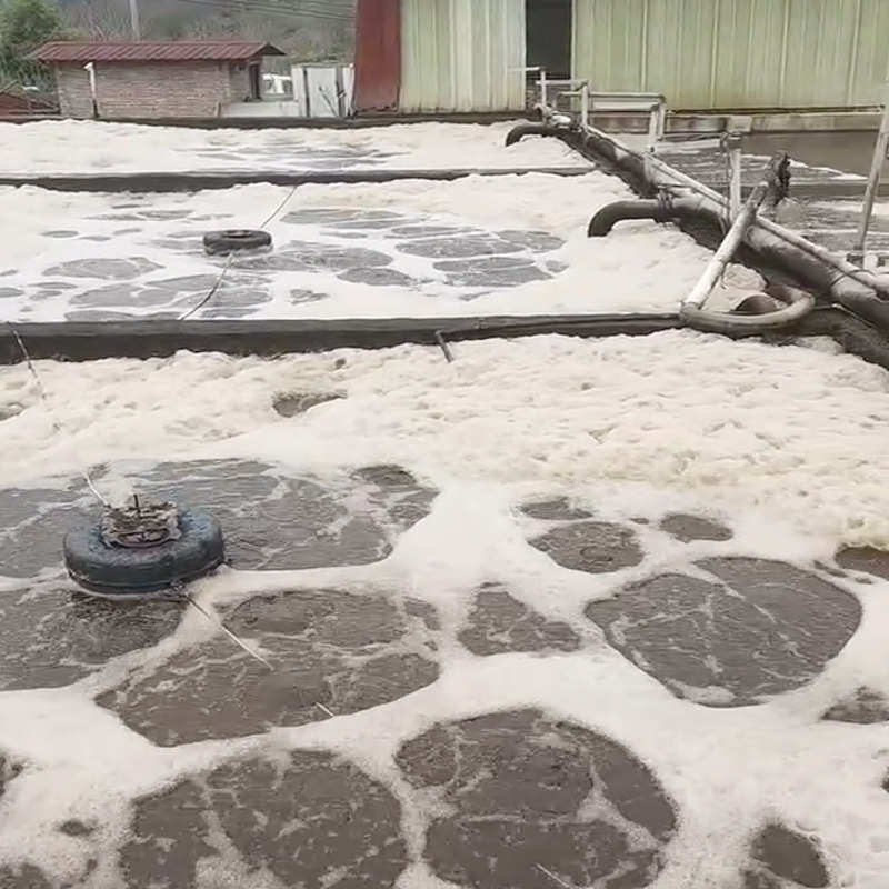 养殖污水处理设备 养猪场粪污资源化利用生猪养殖污水治理设施