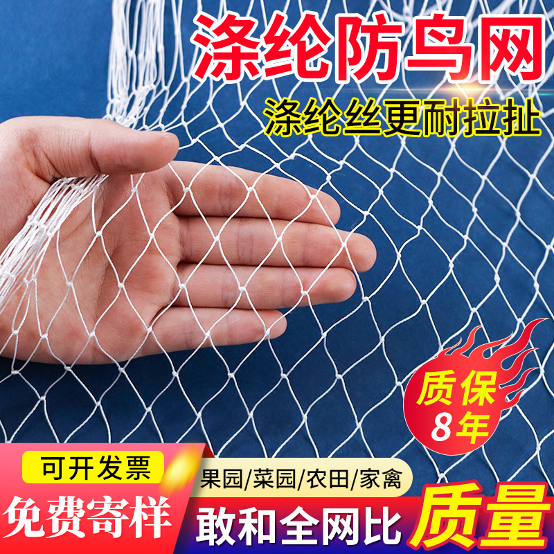 高强涤纶合股防鸟网果园果树大棚防鸟天网户外鱼塘养殖涤纶防护网