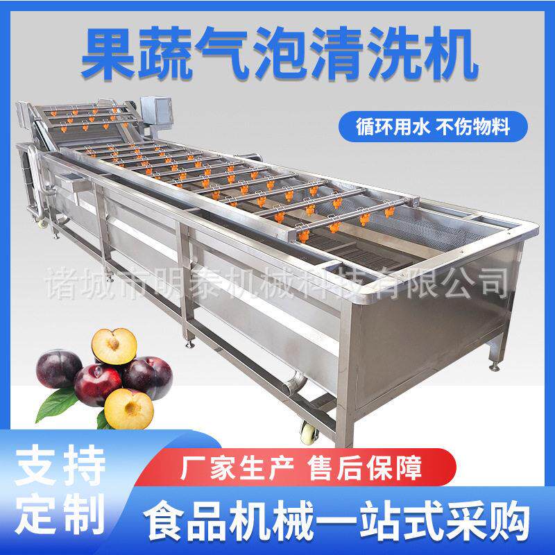 圣女果果蔬气泡清洗机韭菜臭氧洗菜机紫菜海带海草鼓泡清洗设备