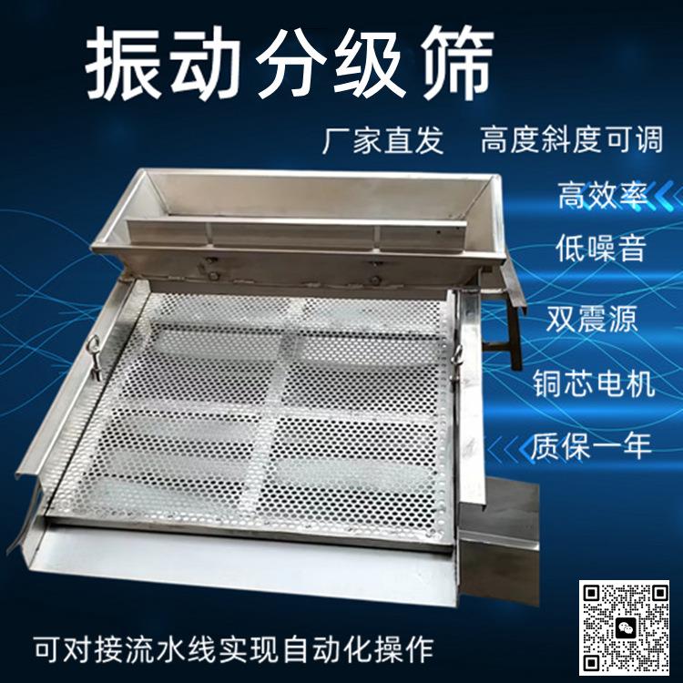 多功能种子筛选机小型全自动去杂分级震动电筛子水稻谷子碎米筛
