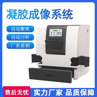 全自动凝胶成像分析系统实验室凝胶成像分析仪荧光多功能成像仪
