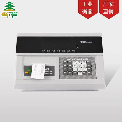 大树DS10P物联网称重显仪示器地衡DS10P磅称重带打印头汽车显表示