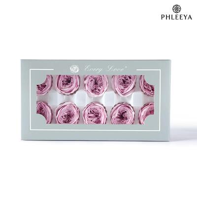 永生花玫瑰花头4cm10朵装A奥斯汀diy花材母亲情人节礼品花束