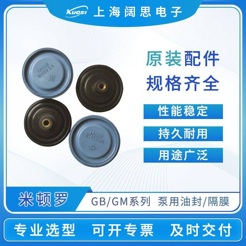 LMI计量泵配件GM/GB计量泵油封向阀拍前咨询客服精密