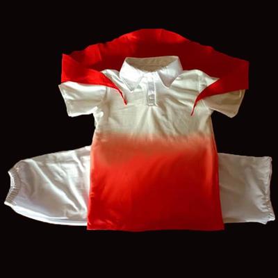 高档新型中小学生毕业集体舞蹈季主持儿童领合唱表红演巾服装