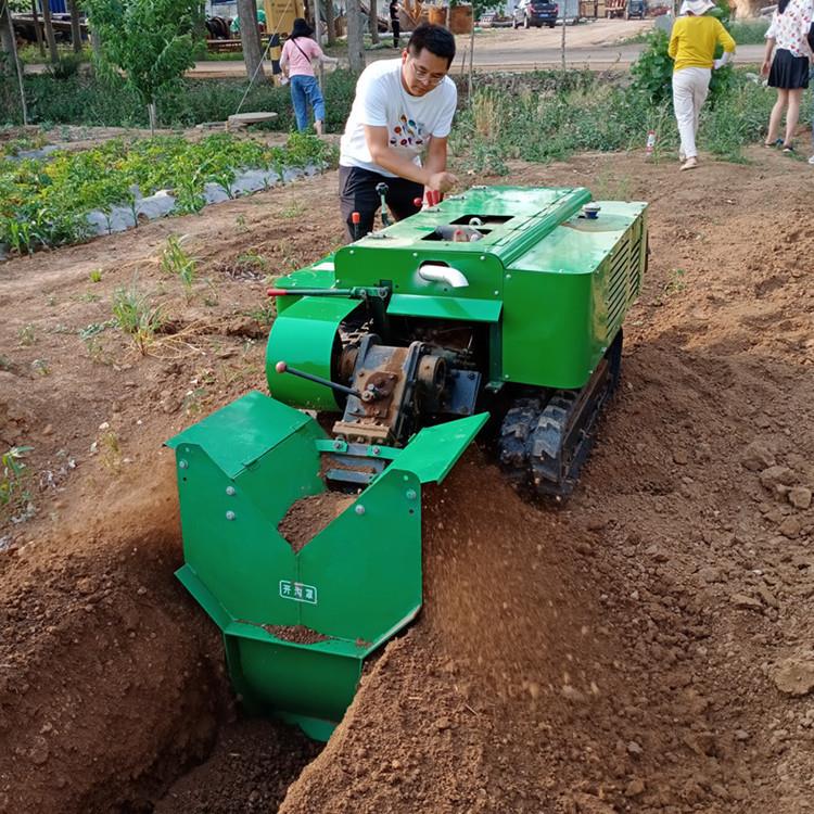 能果园多功施肥一体化山耕地丘陵施果园履带开沟肥机大RLG棚旋机 - 实物图
