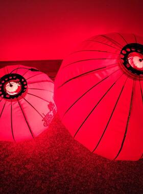 太阳绒206能大红灯笼套光源专用配led灯围植免插电红色氛装饰灯泡