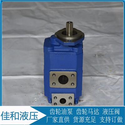 成工956泊姆克转向泵P5100-F100NP367 6/P124-G16Y03G