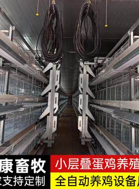 层叠式蛋鸡笼多层立梯式禽类养殖自动化蛋鸡笼自动上料捡蛋鸡笼