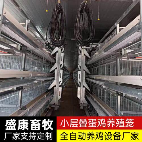 层叠式蛋鸡笼多层立梯式禽类养殖自动化蛋鸡笼自动上料捡蛋鸡笼