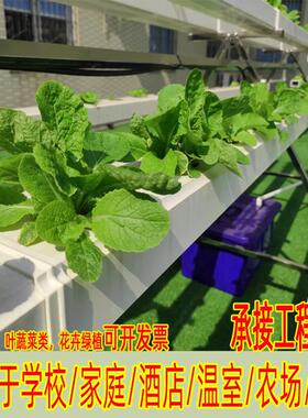 NFT无土栽培蔬菜草莓种植半A字架水培设备阳台管道种菜机学校科普