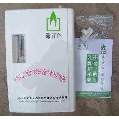家用沼气净化器调节脱硫装置沼气发生器专用压力表沼气配件