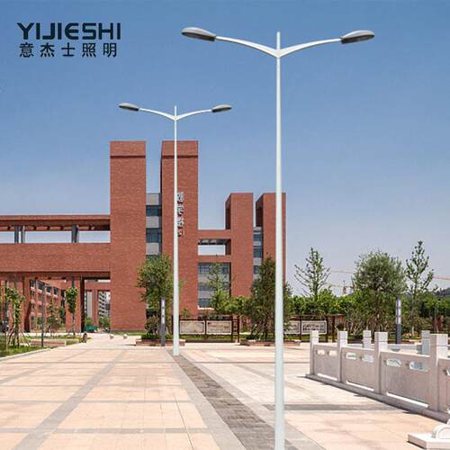 厂家直供 LEDZREM市电户外80M双头双铝臂制不锈钢照1明道路灯