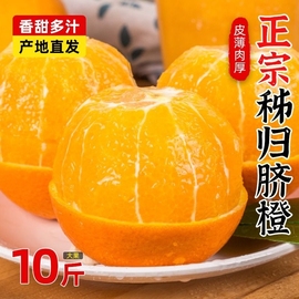 高山脐橙9斤香橙当季秭归薄皮，橙子新鲜手剥橙整箱甜橙水果发