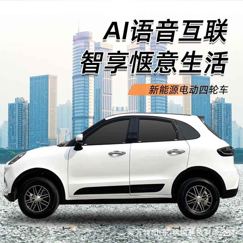 新源老头乐电动轮车成油电马丁两用人全封闭家用代步轿车汽四车四