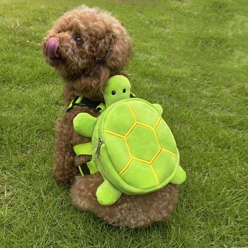 Viral Turtle Pet Backpack   2-in-1 Leash Harness   Pet