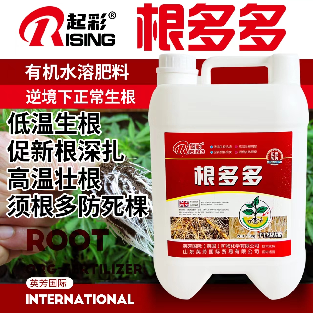 起彩根多多生根壮苗剂水果树蔬菜强力爆根有机水溶肥促进生根原液