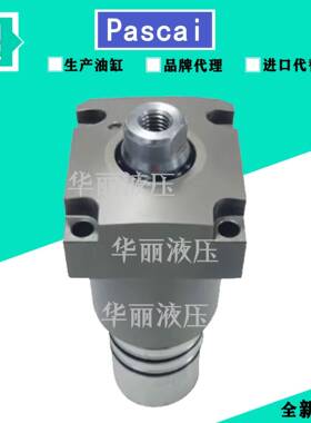 Pasca帕斯卡l液压油缸 CLX50-F CLX63-D CTX40-R 支撑器 CLX63-LE