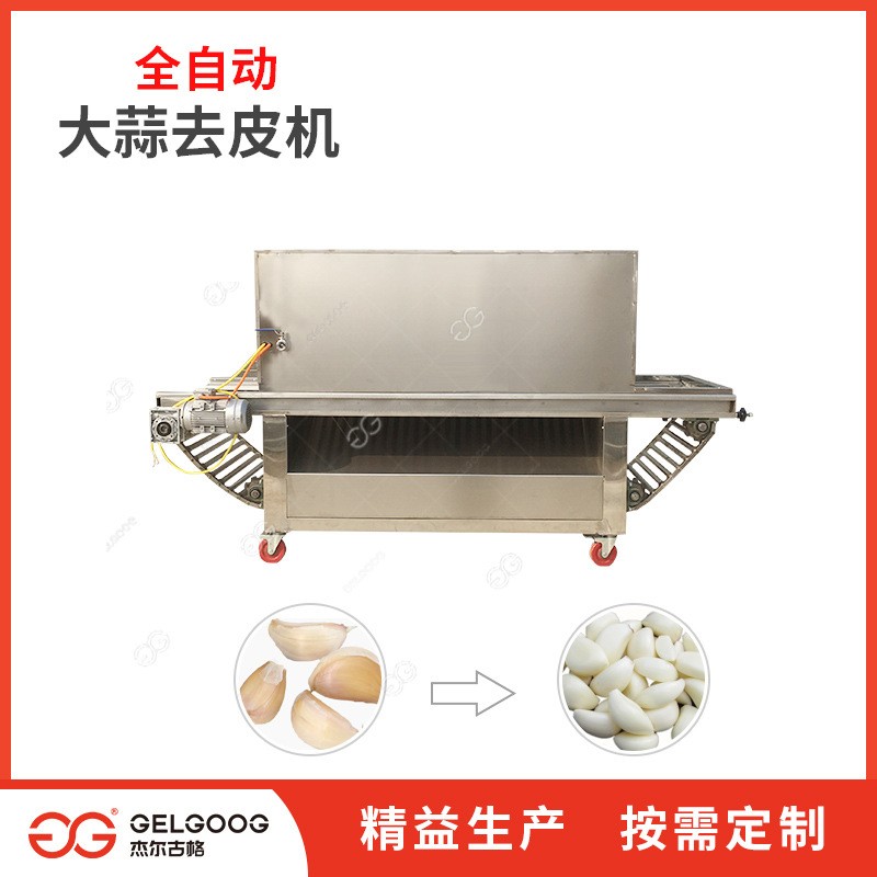 生产厂家电动大蒜子全自动去皮机连续大蒜脱皮机器大蒜去皮机