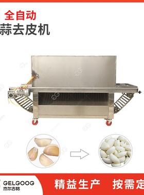 生产厂家电动大蒜子全自动去皮机连续大蒜脱皮机器大蒜去皮机