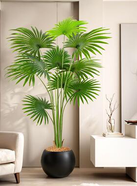 仿真绿植假植物造景高端轻奢大型室内盆栽装饰摆件蒲葵仿真花摆