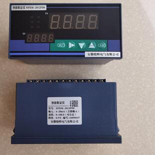 2012PDO智能数显仪 NPXM