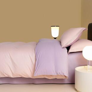 高端100支长棉陶瓷磨毛加厚全棉双拼绒四件套棉cctv5587纯床床笠