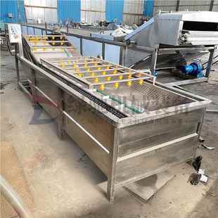 驰果蔬气泡清洗机食堂绿不锈钢圣果LC 净菜女 QP50喷淋清洗加设备