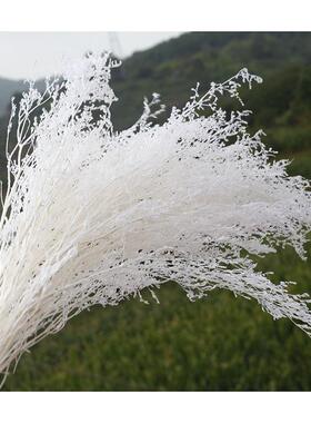永生花漂白情人草干花白色diy材料包香薰鲜花蜡烛婚礼装饰