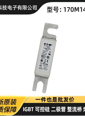 原装高压熔断器 保险丝170M1416 170M147 170M1418货源充足