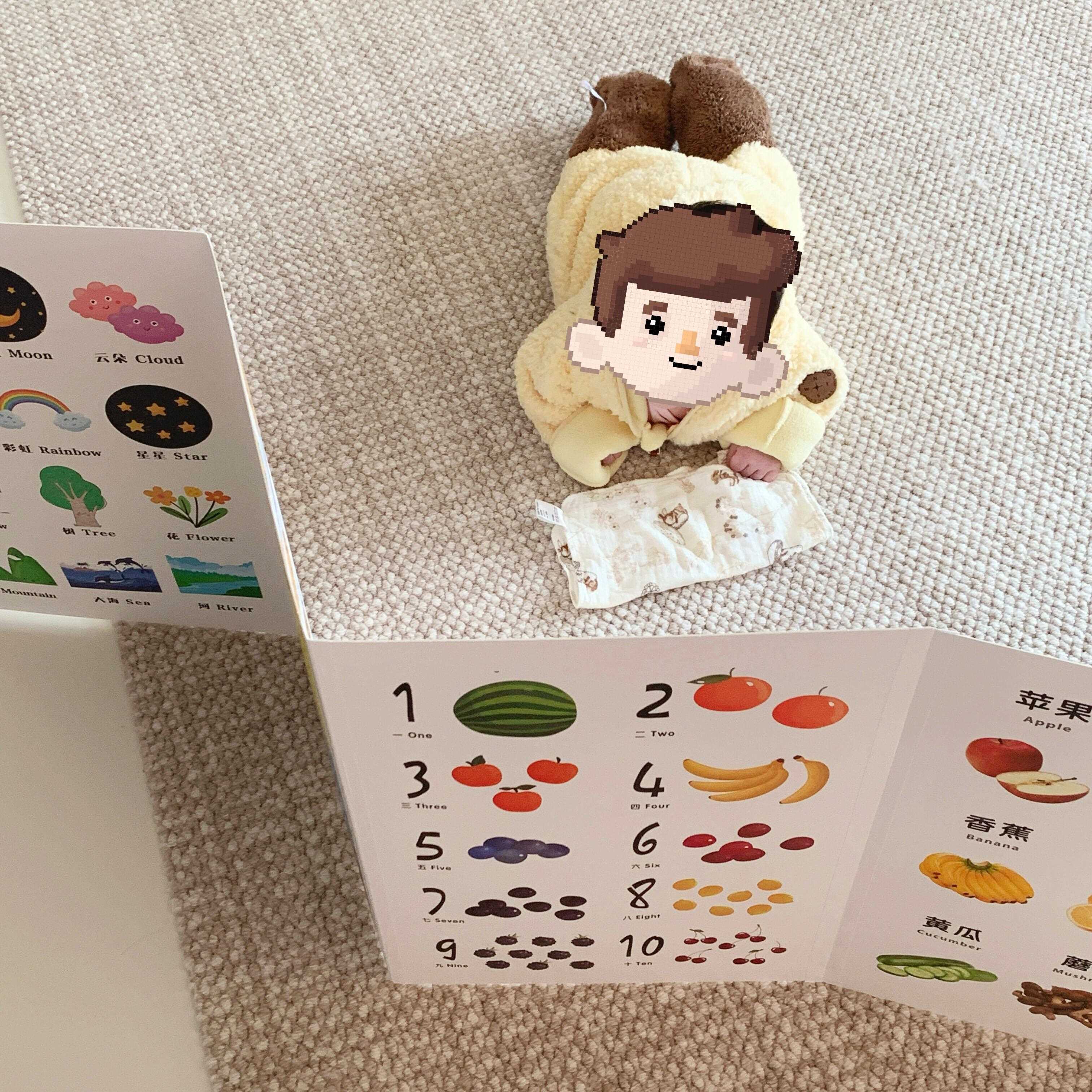 屏风认知卡片益智专注力训练玩具挂图绘本幼儿围栏宝宝早教启蒙.图片