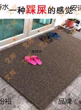 丝圈脚垫门口农村地垫入户门垫进门蹭脚塑料地毯防水防滑橡胶垫