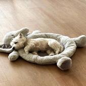 狗窝四季 通用中小型犬比熊泰迪趴趴垫睡垫猫窝宠物垫子沙发狗床