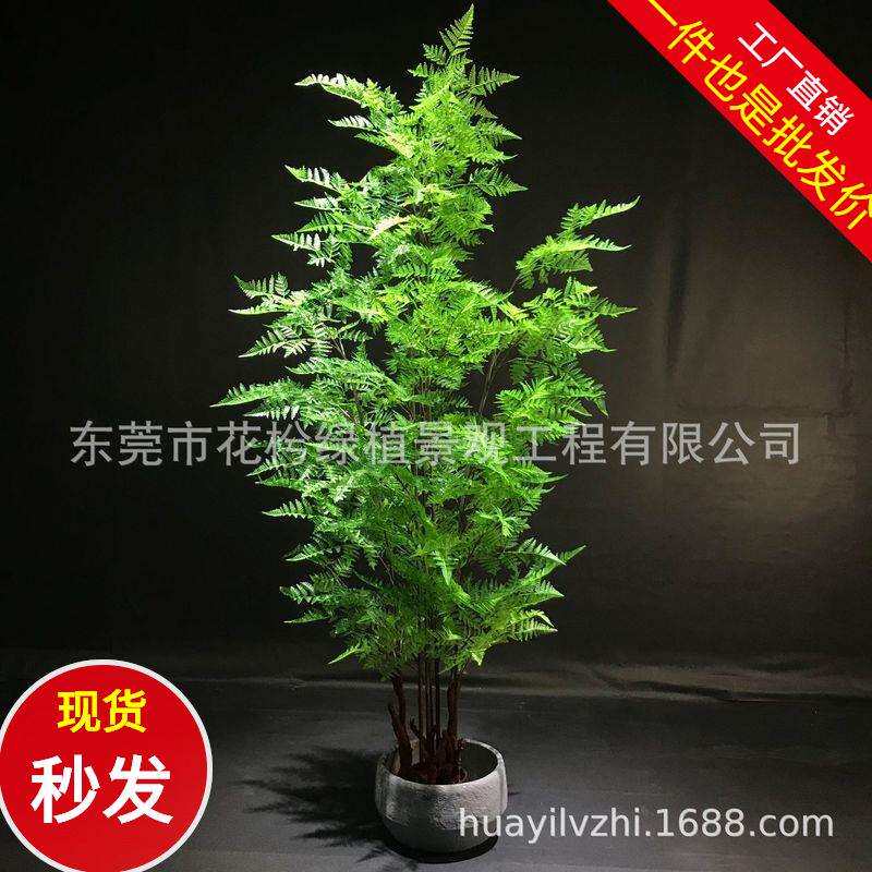 仿真假花绿植物盆栽婚庆装饰植物植物墙配草假蕨类蕨草波斯草叶子
