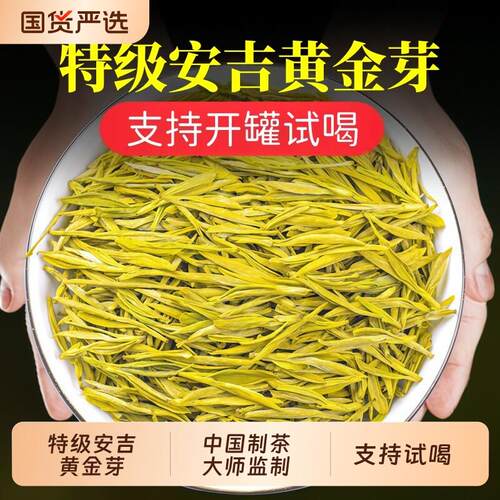 新疆包邮安吉黄金芽茶叶新茶雨前白茶高山安吉绿茶散装礼盒装