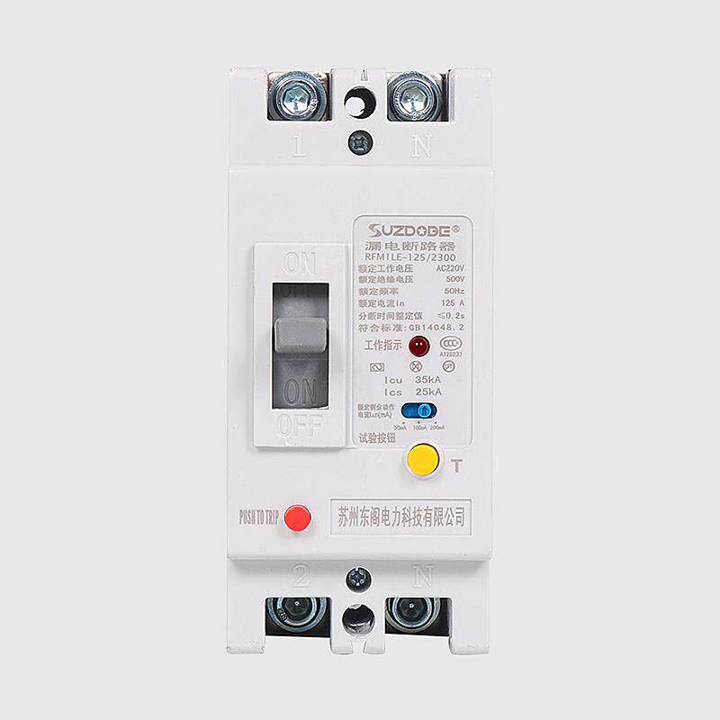 2P塑壳漏电保护器 单相100A12 225安250A 220V带漏电断路器开关