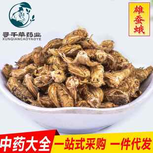 现货 雄蚕蛾 诚信经营 原蚕蛾 晚蚕蛾 支持药检 货