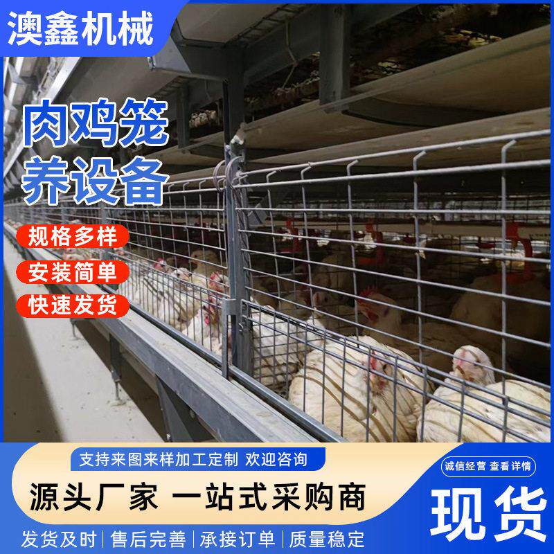 大层叠肉鸡笼养鸡设备加密加粗全自动化养殖笼具热镀锌蛋鸡笼设备