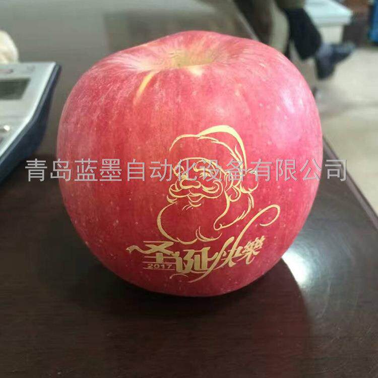 全自动水打字机苹果印字机水果印字机厂家