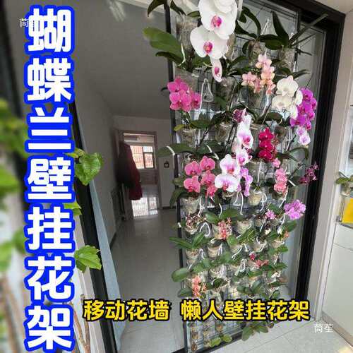 蝴蝶兰花架壁挂式悬挂网格上墙花盆托架种植板铁艺室内展示架